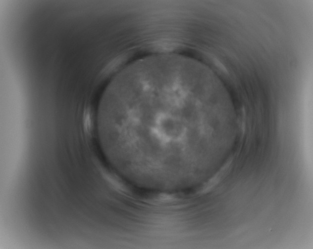 X0000113960166200910021533