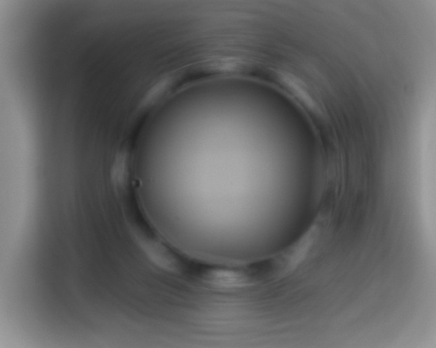 X0000113960167200910021533