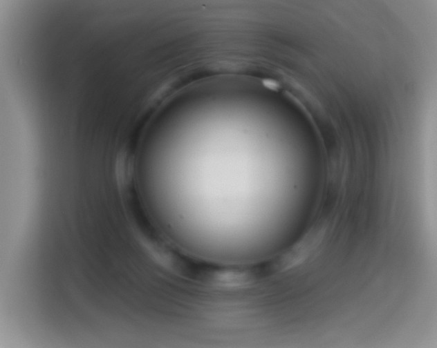 X0000113960168200910021533