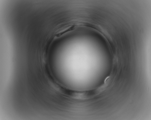 X0000113960170200910021533