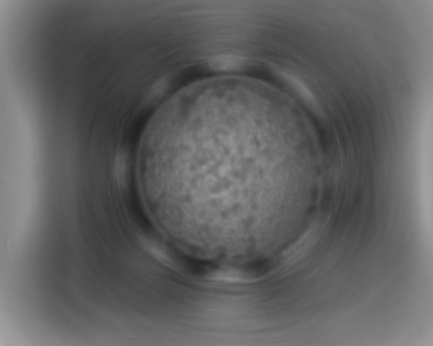 X0000113960171200910021533