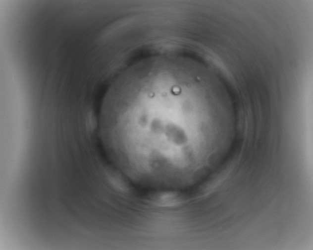 X0000113960173200910021533