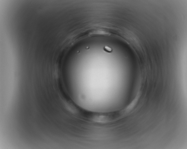 X0000113960174200910021533