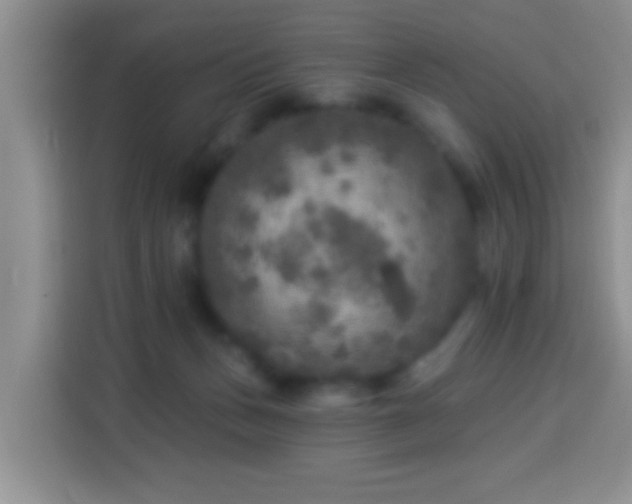 X0000113960175200910021533