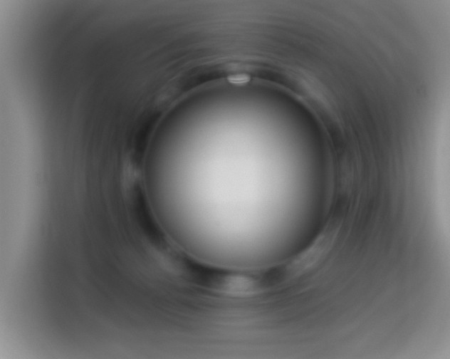 X0000113960176200910021533