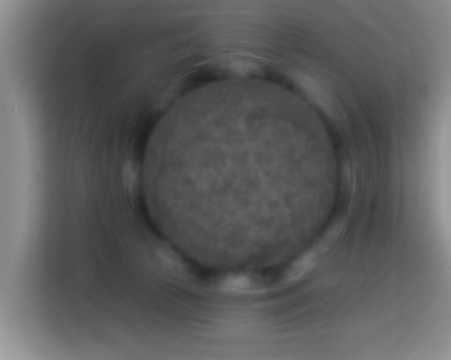 X0000113960177200910021533