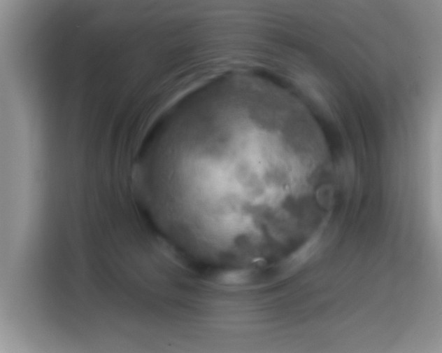 X0000113960178200910021533