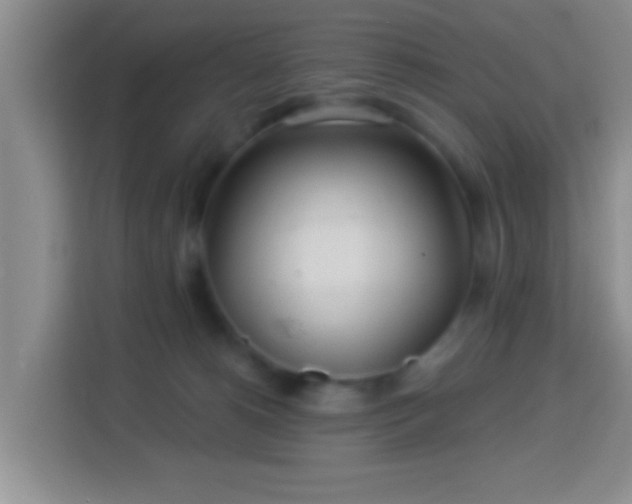 X0000113960180200910021533