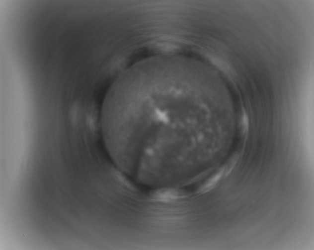 X0000113960181200910021533