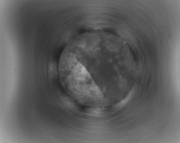 X0000113960182200910021533