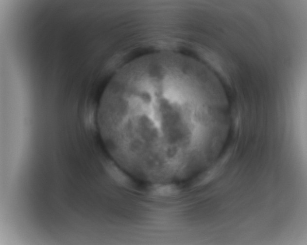 X0000113960185200910021533