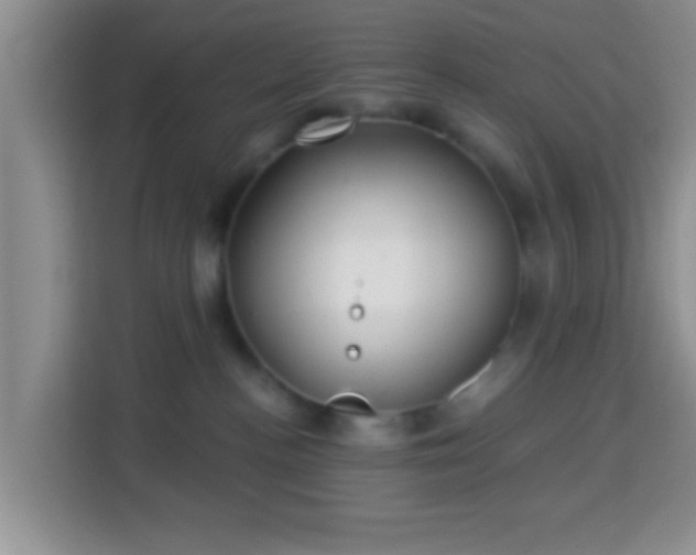 X0000113960188200910021533