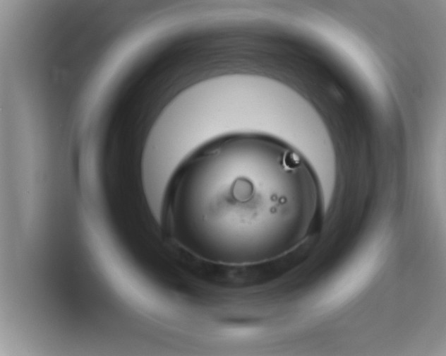 X0000113960189200910021533