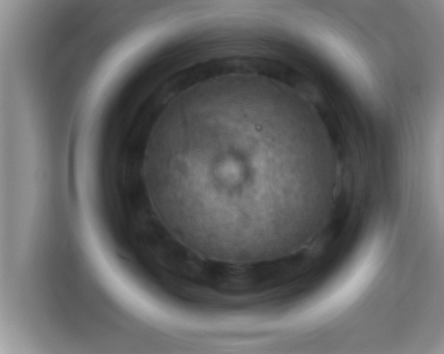 X0000113960191200910021533