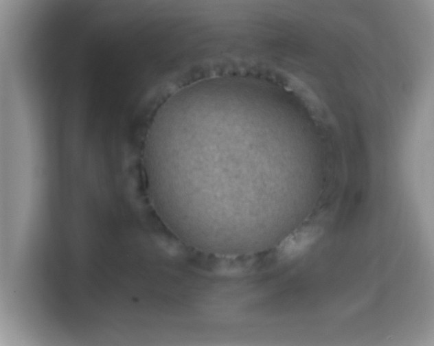 X0000113960192200910021533