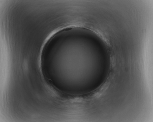 X0000113960196200910021532