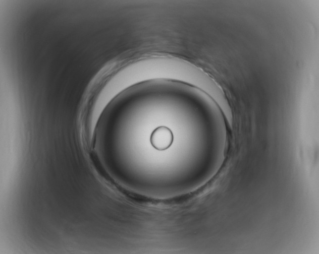 X0000113960197200910021532