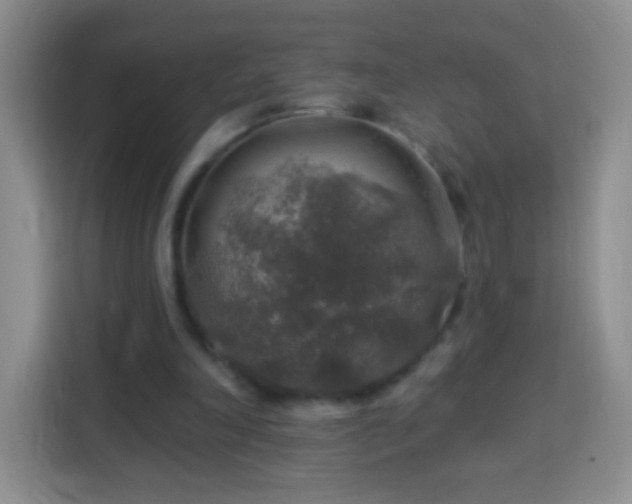 X0000113960198200910021532