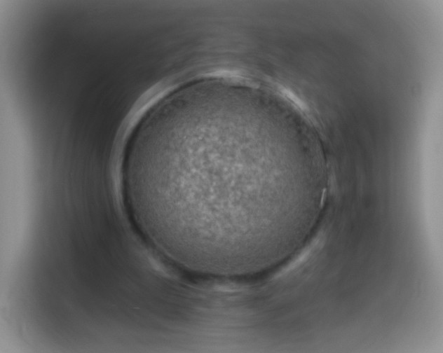 X0000113960199200910021532