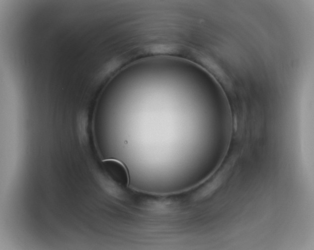 X0000113960201200910021532