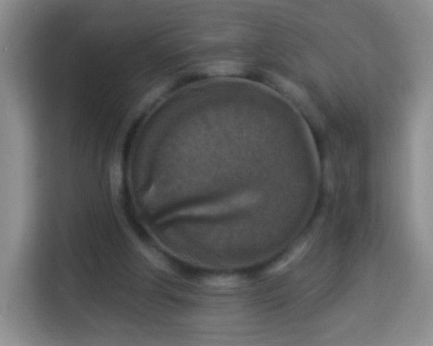 X0000113960202200910021532