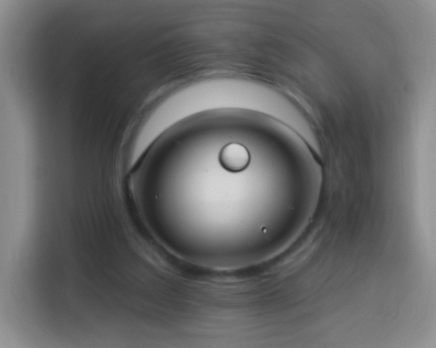 X0000113960203200910021532