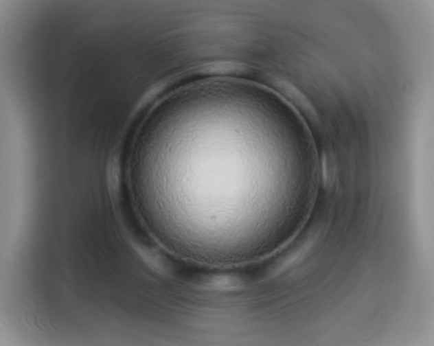 X0000113960204200910021532