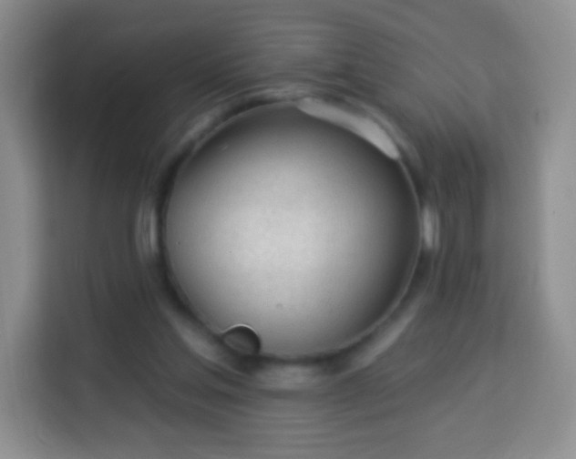 X0000113960205200910021532