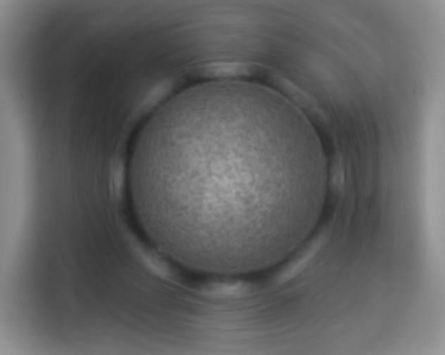 X0000113960206200910021532