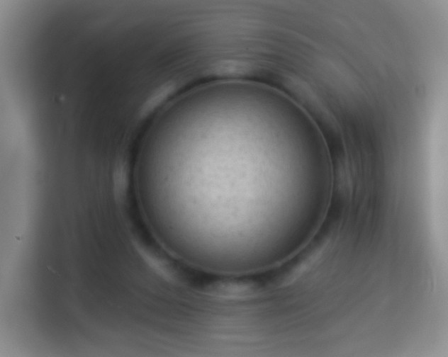 X0000113960208200910021532