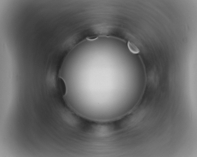 X0000113960209200910021532