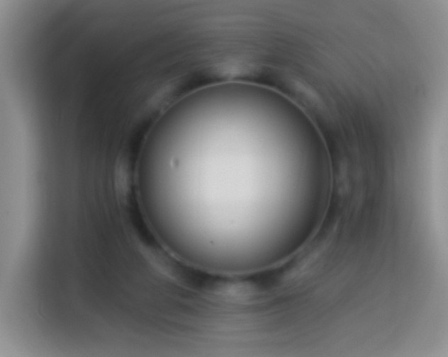 X0000113960210200910021532