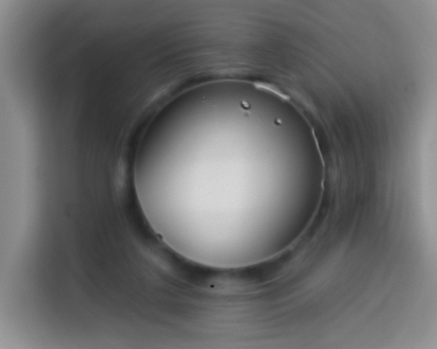 X0000113960211200910021532