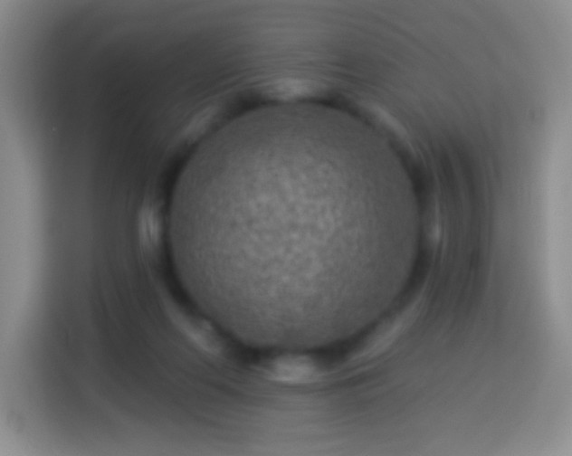 X0000113960214200910021532