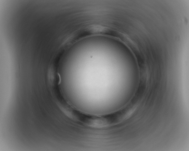 X0000113960215200910021532