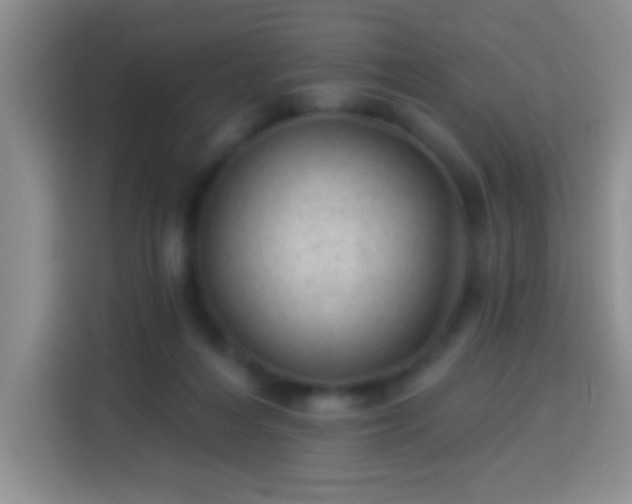 X0000113960216200910021532