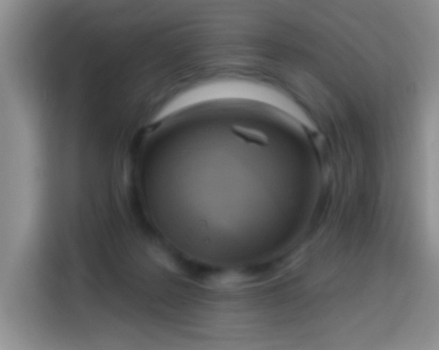 X0000113960219200910021532