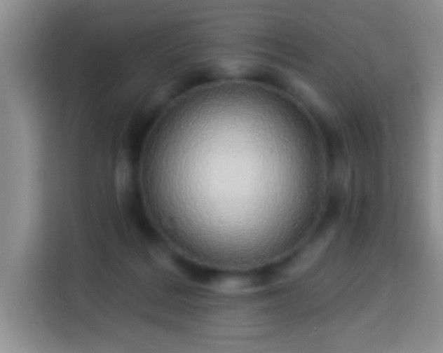 X0000113960220200910021532