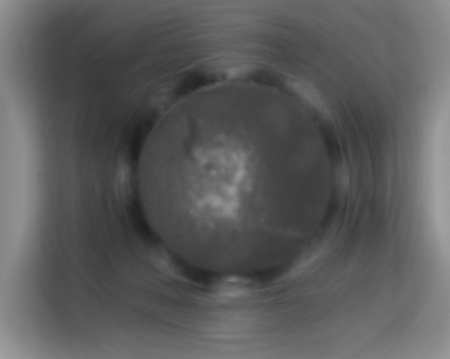 X0000113960222200910021532