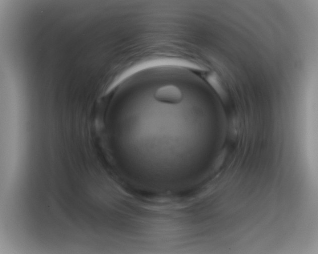 X0000113960223200910021532