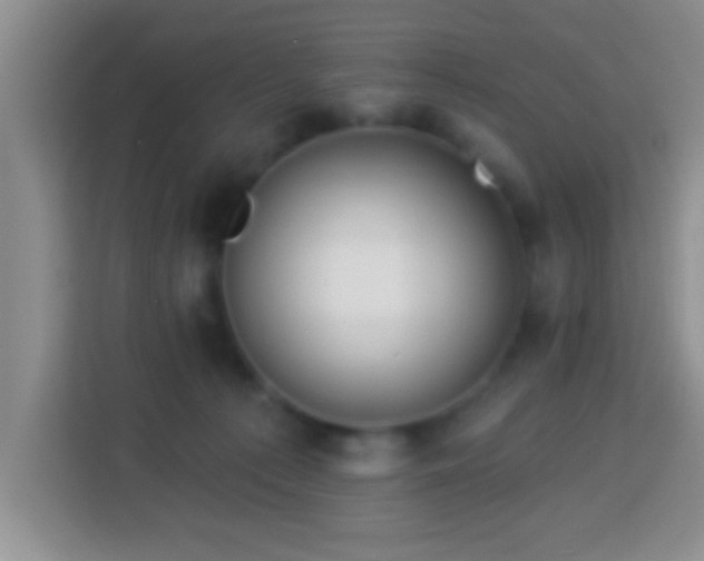 X0000113960225200910021532