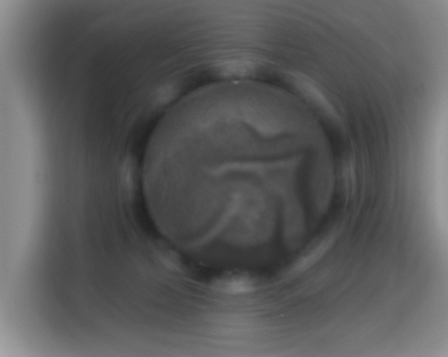 X0000113960228200910021532