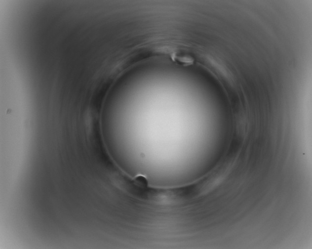 X0000113960229200910021532