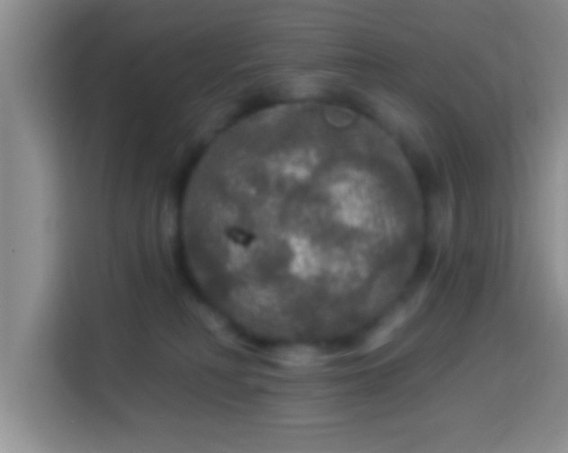 X0000113960230200910021532