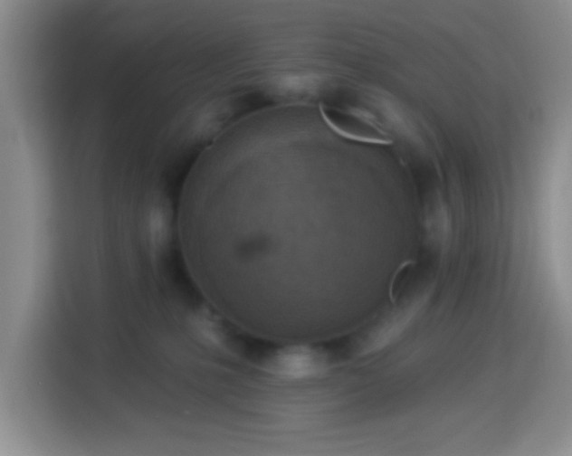 X0000113960231200910021532