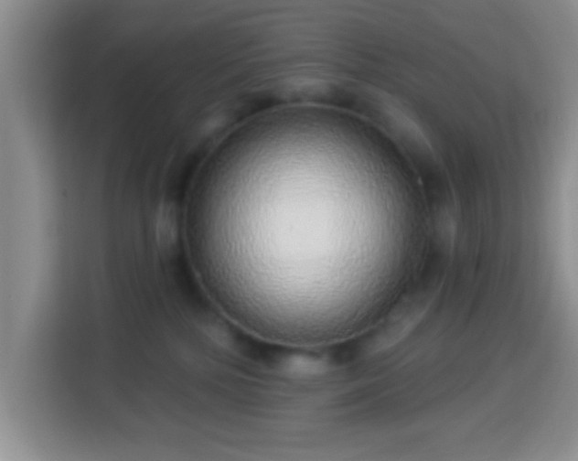 X0000113960232200910021532