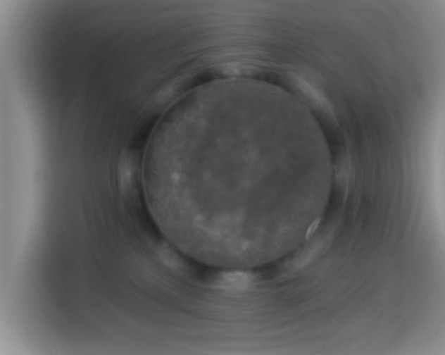 X0000113960233200910021532