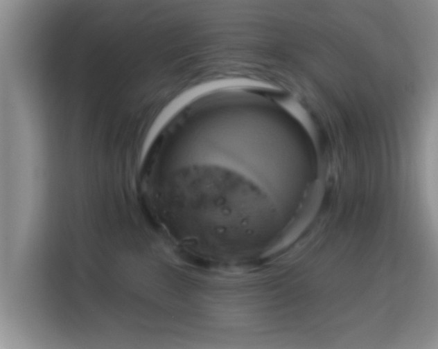 X0000113960235200910021532