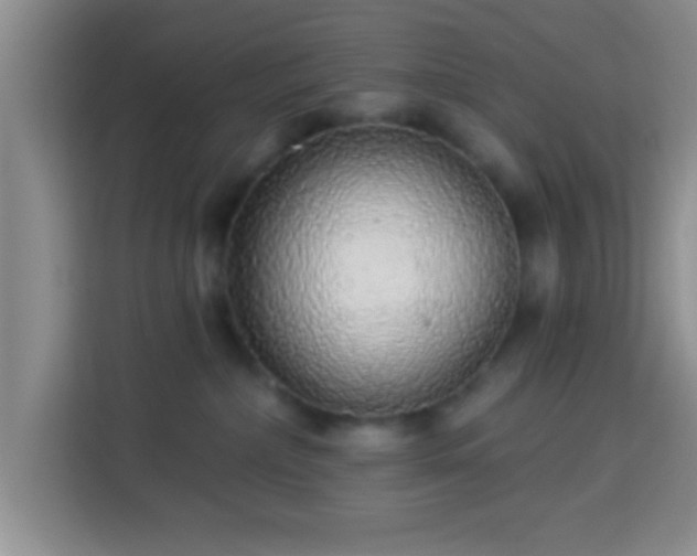 X0000113960236200910021532