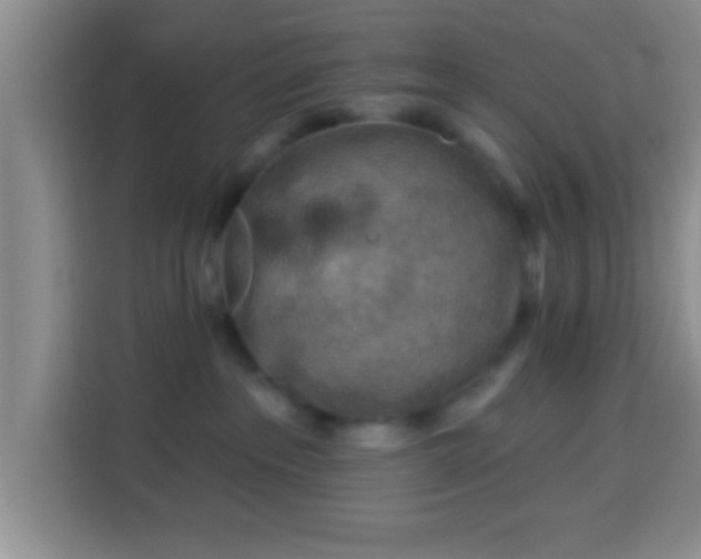 X0000113960237200910021532